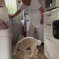 ワンコとおじいちゃんの日常5