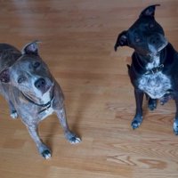 本当の兄弟みたい！！