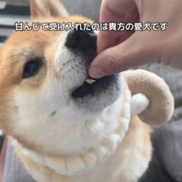嬉しそうななみちゃん