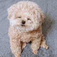 目を閉じてうとうと