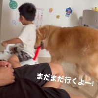 犬におもちゃの車を押してもらって、楽しそうな声をあげる男の子