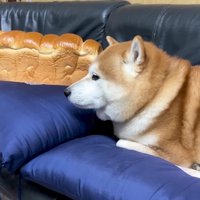 あるイタズラをしかけてみることに