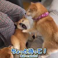 「やめろ～」と必死に抵抗