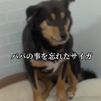 「おまえだれ…？」