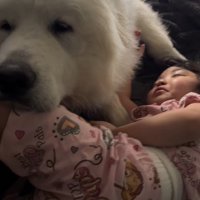 「起こさなくていいか」