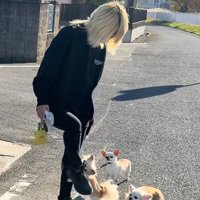 チワワ3匹とお散歩6