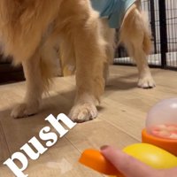 使い方を教えるママ