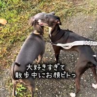 お散歩中にぴとっ♡