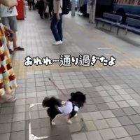 まさかのスルー