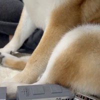 レールの取り合いです