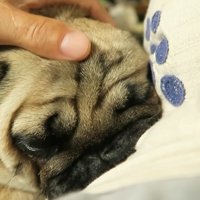 もう怒っていないとわかって一安心♪