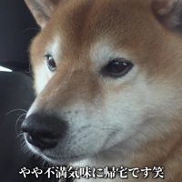 「やっぱり許せない…」