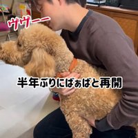 おばあちゃんに唸る犬
