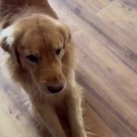 まさかの塩対応！？