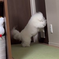 家族のお出迎えが日課