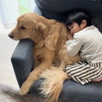 見ていると、思わずほっこり