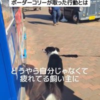 ジッピーくんの気遣い6