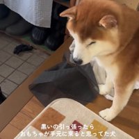 絶望の表情にクスッ