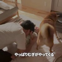むぎちゃんが傍に来た