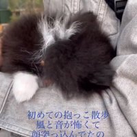 また顔をうずめるレイくん