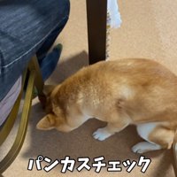 「カスが落ちてないかな？」とチェック
