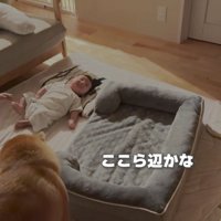 「これで寝なよ」