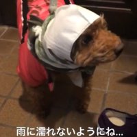 なんとも言えない表情