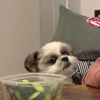 チラッ