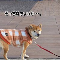 「そっちはちょっと…」