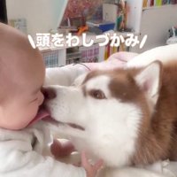子煩悩な一面も♡