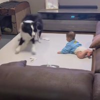 「もう！今のなに！」