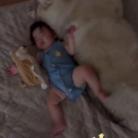 ふわふわの毛にタッチ