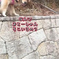 お父さんのところに行きたいのに…