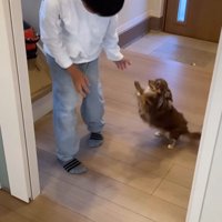 アムくんとお兄ちゃんの再会9