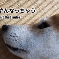 迷惑そうなお顔（笑）