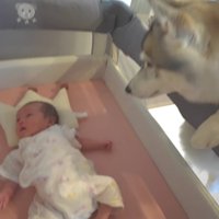 心配そうに見守る姿に涙…