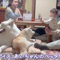 幸せな家族のワンシーンでした