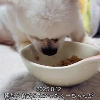 最期のご飯をもりもり食べた