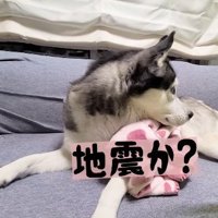 「なにか起きた？」