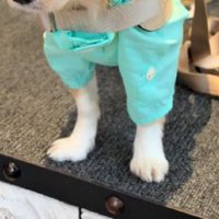 レインコートを新調