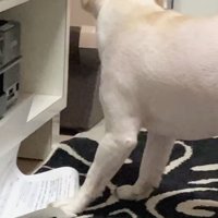 再び振り返って反応を確認