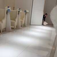 扉から入ってくる犬