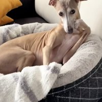 完璧な頬杖ポーズ