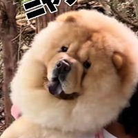 ニヤリと不敵な笑み