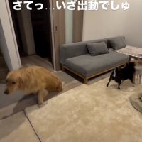 「今日もいくかぁ」