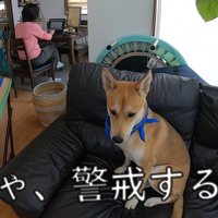 怖がって逃げてしまいました