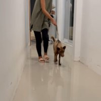 リハビリも欠かさない