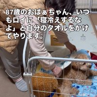 タオルをかけてあげるおばあちゃん