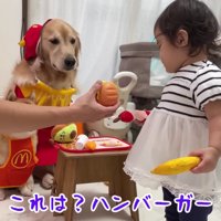 2匹の店員さんが可愛い…