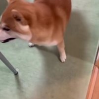 「どこにいるの？」